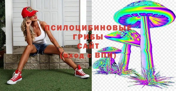 ПСИЛОЦИБИНОВЫЕ ГРИБЫ Абдулино