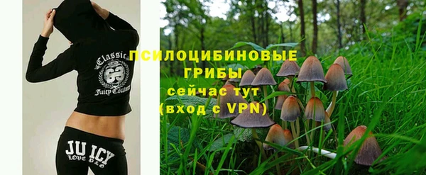 кристаллы Абаза
