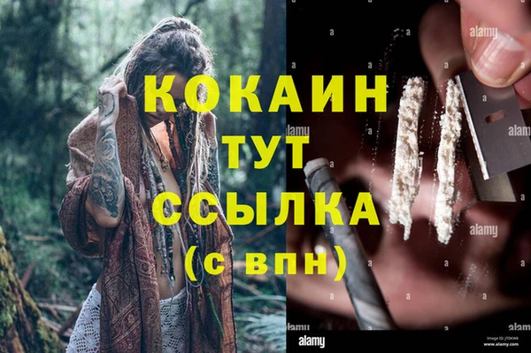 стаф Алексин