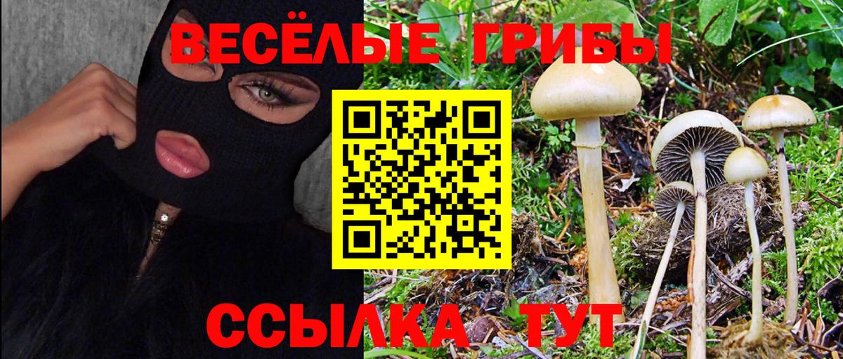 Галлюциногенные грибы прущие грибы Благовещенск